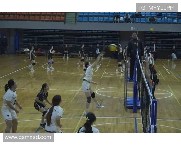 排球盛宴：深入了解西安排球队的团队协作与默契配合之道